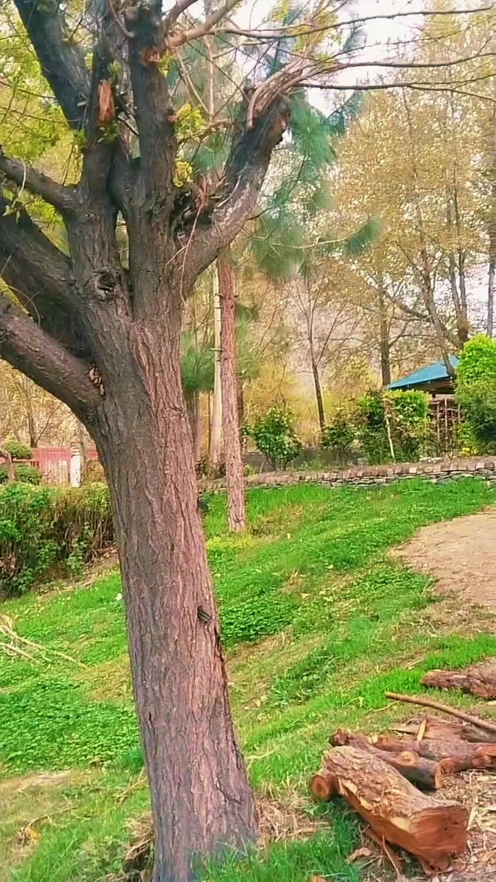 @꧁❤•༆𝘴𝘳𝘬 𝘬ꫝꪖꪀ❤️༒꧂