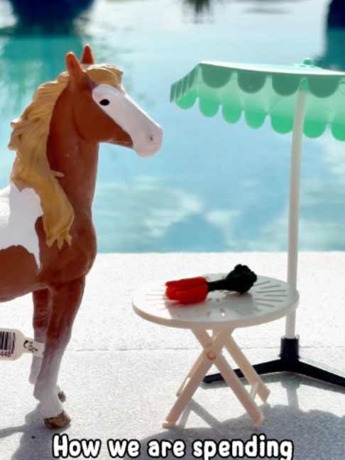@Schleich Horse Club