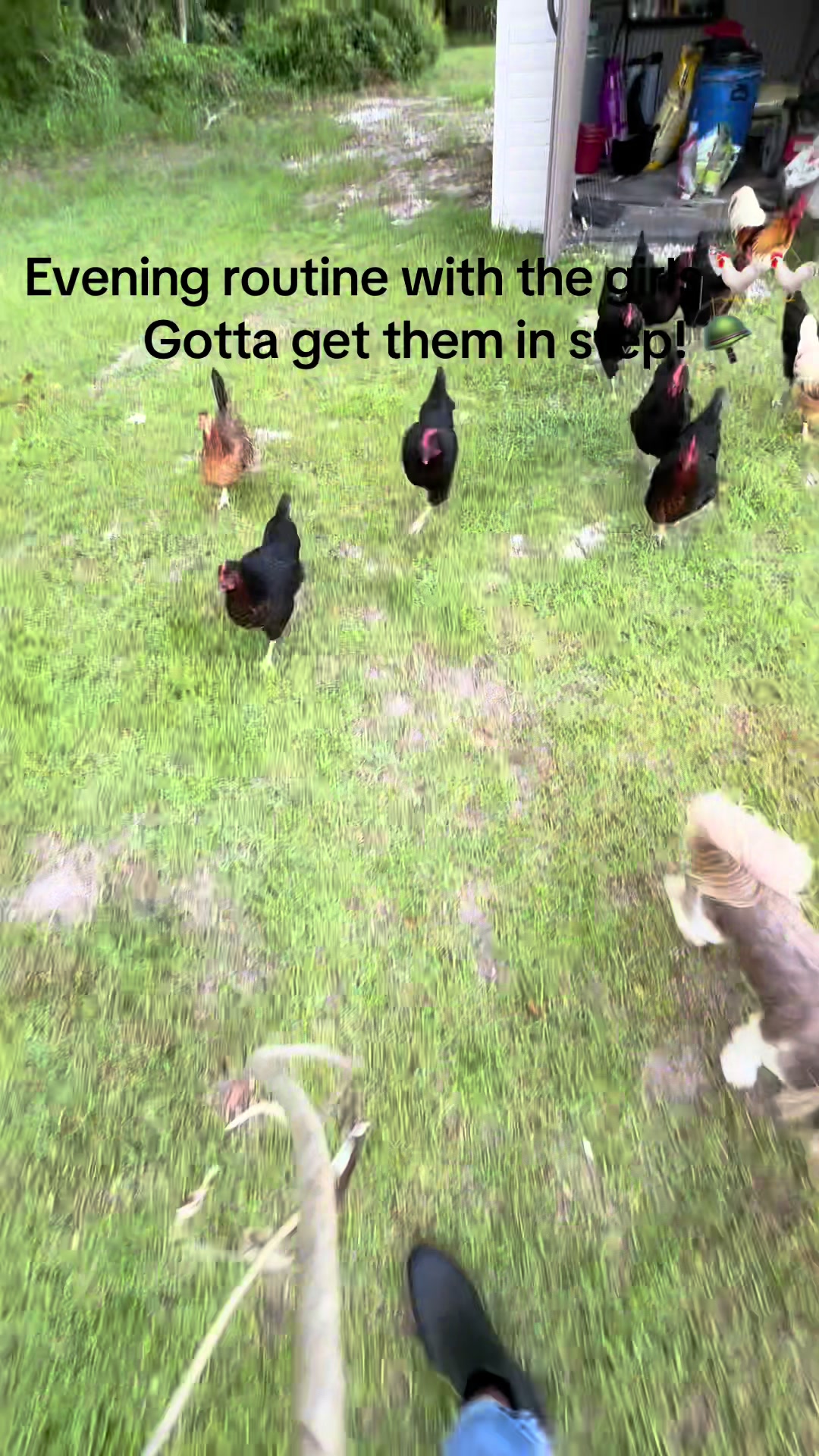 @Our Family Farm