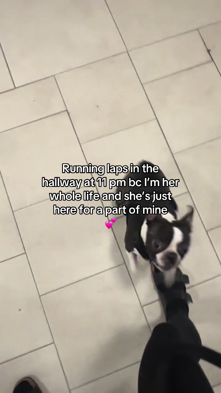 @Acacia