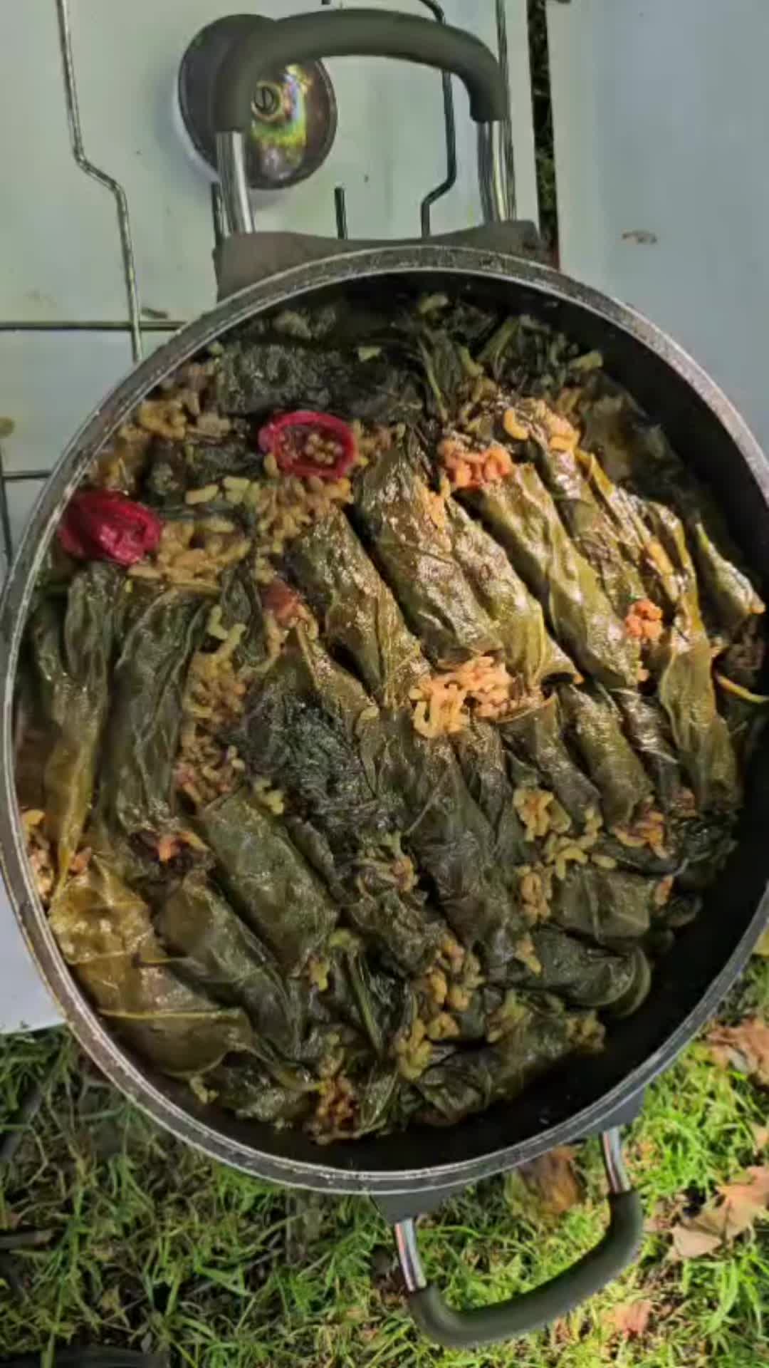 @Ezidxan 24