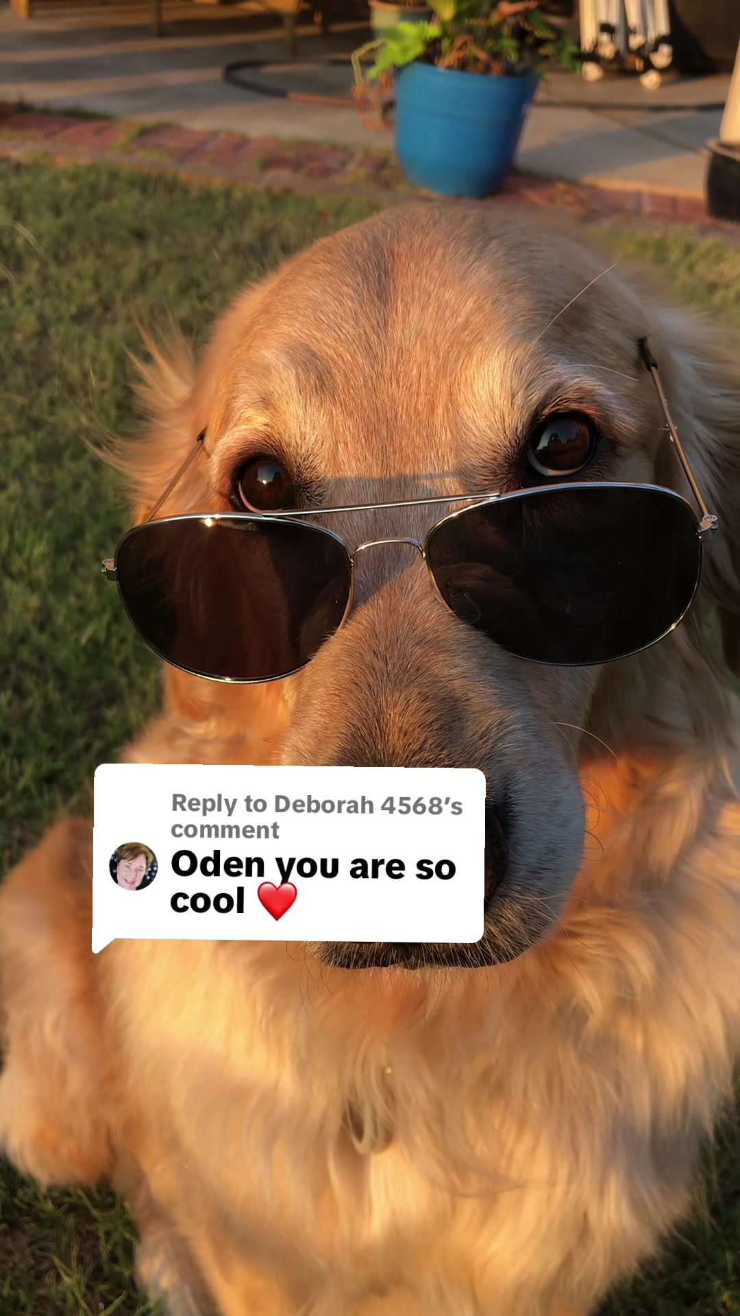 @Oden