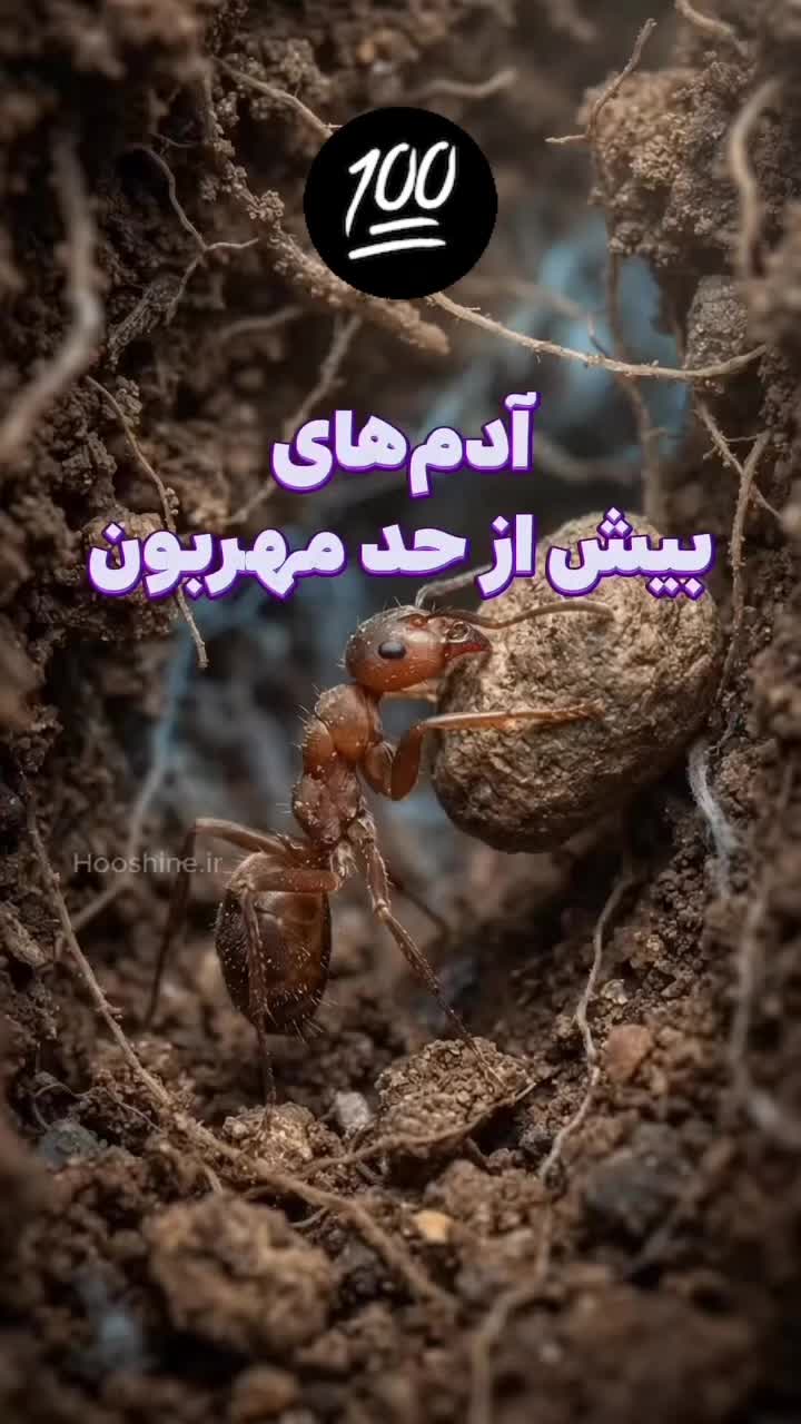 @Nila/نیلا