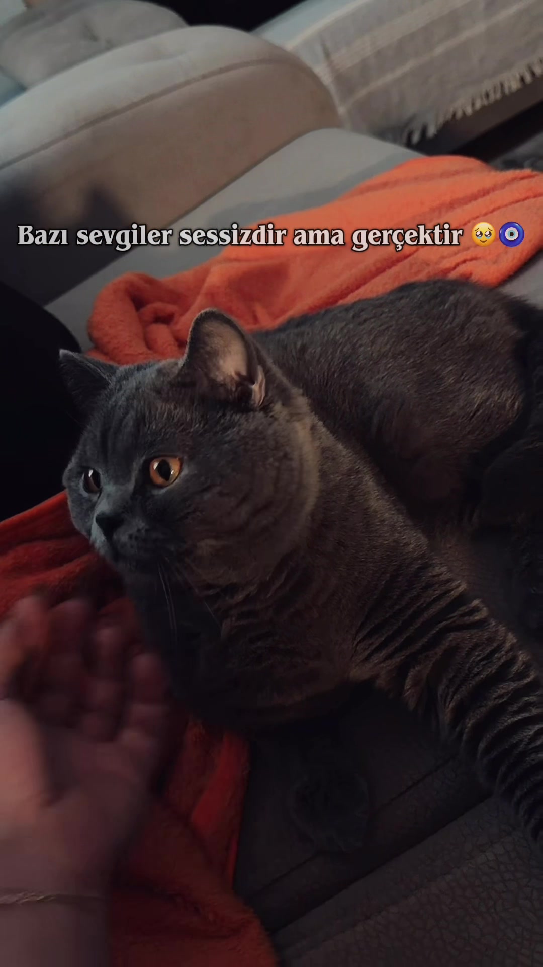@nuurozturk1