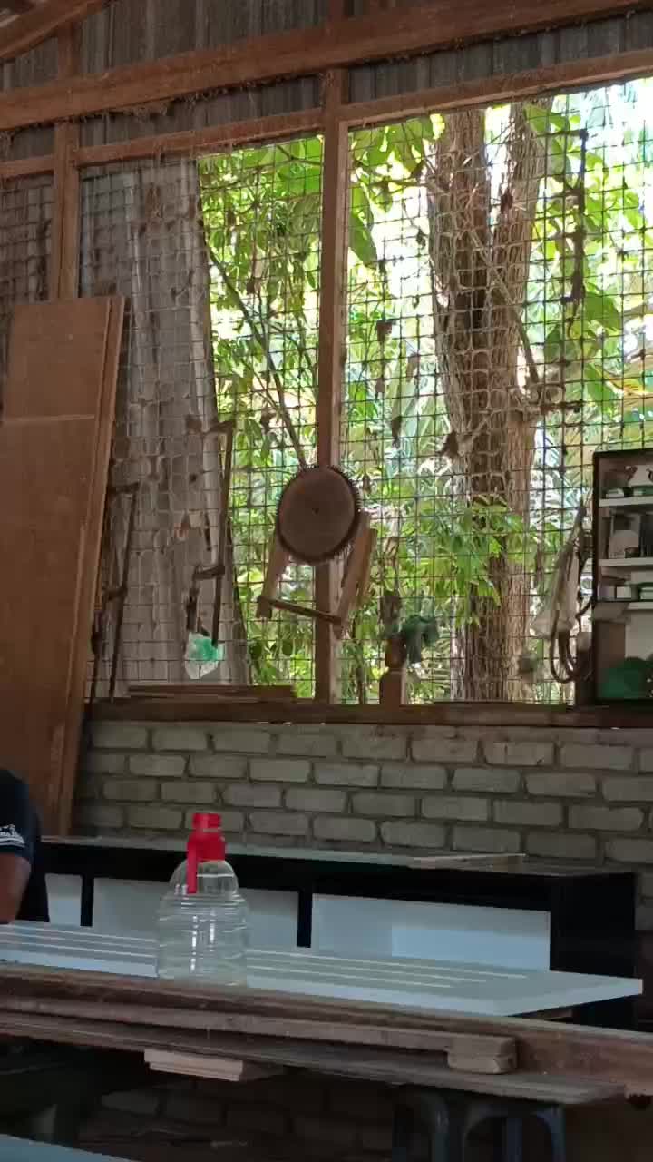 @RafiqiDaruwis