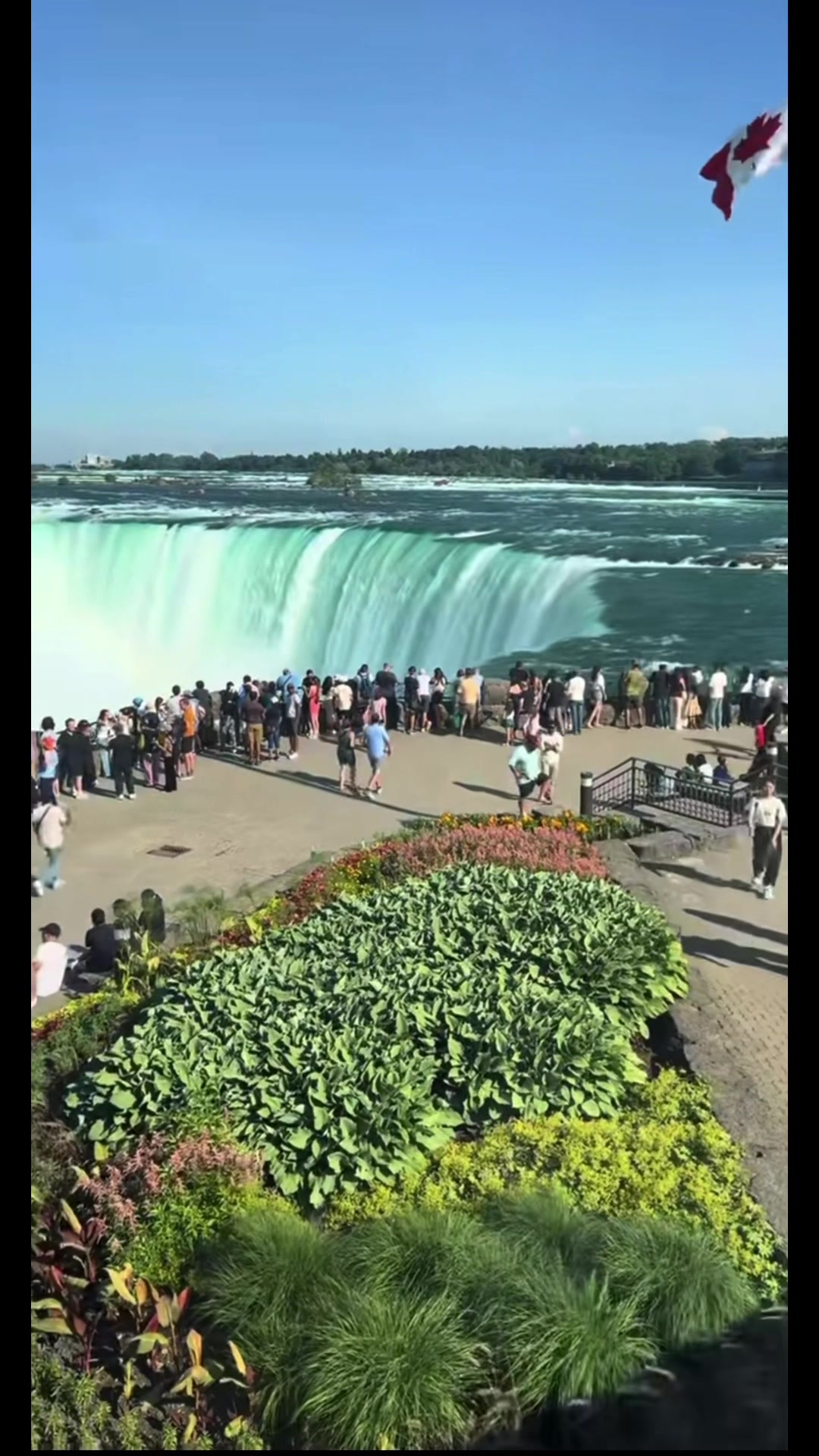 @🇨🇦-yan