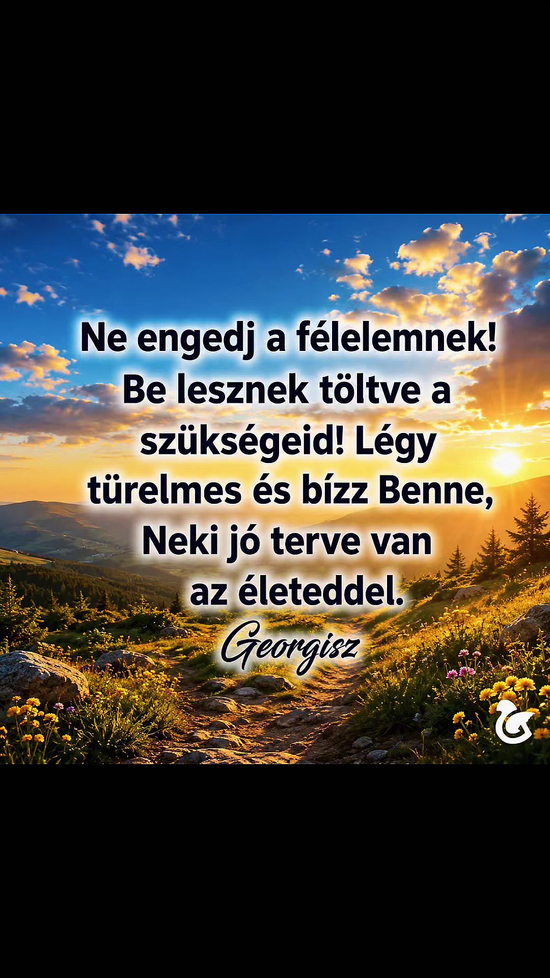 @Mónika Erős