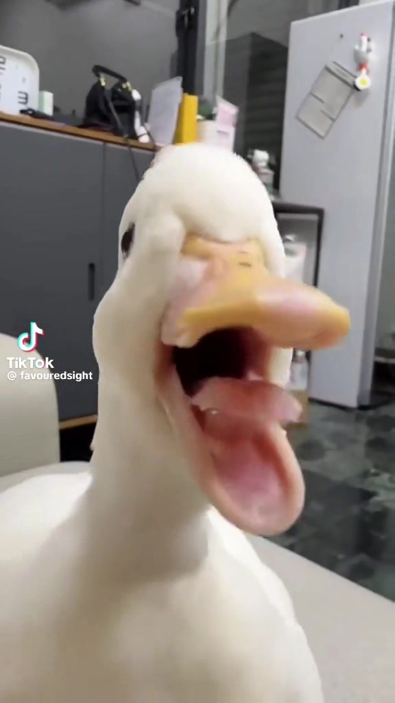 @❌️MrChuckles❌️