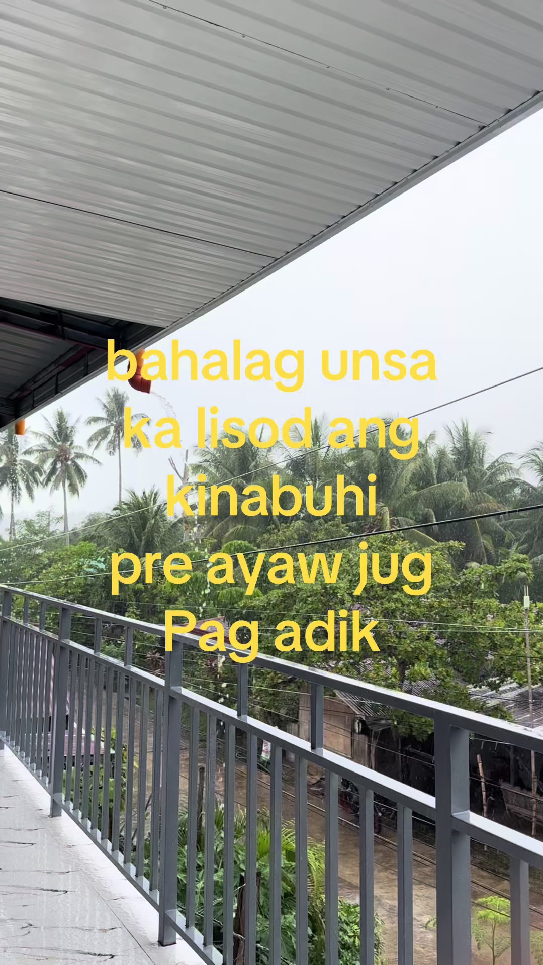 @nz