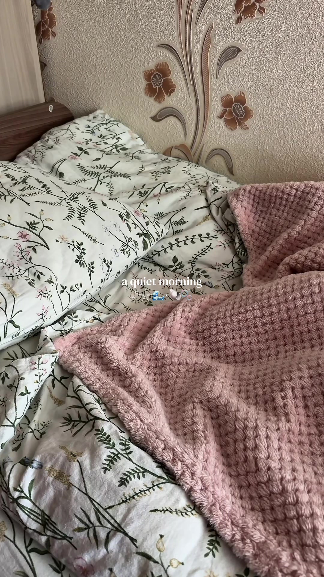 @𖾕𖾝꙼ᩚ𛲕𖾟⋆˙kissie ⋆. 𐙚 ˚