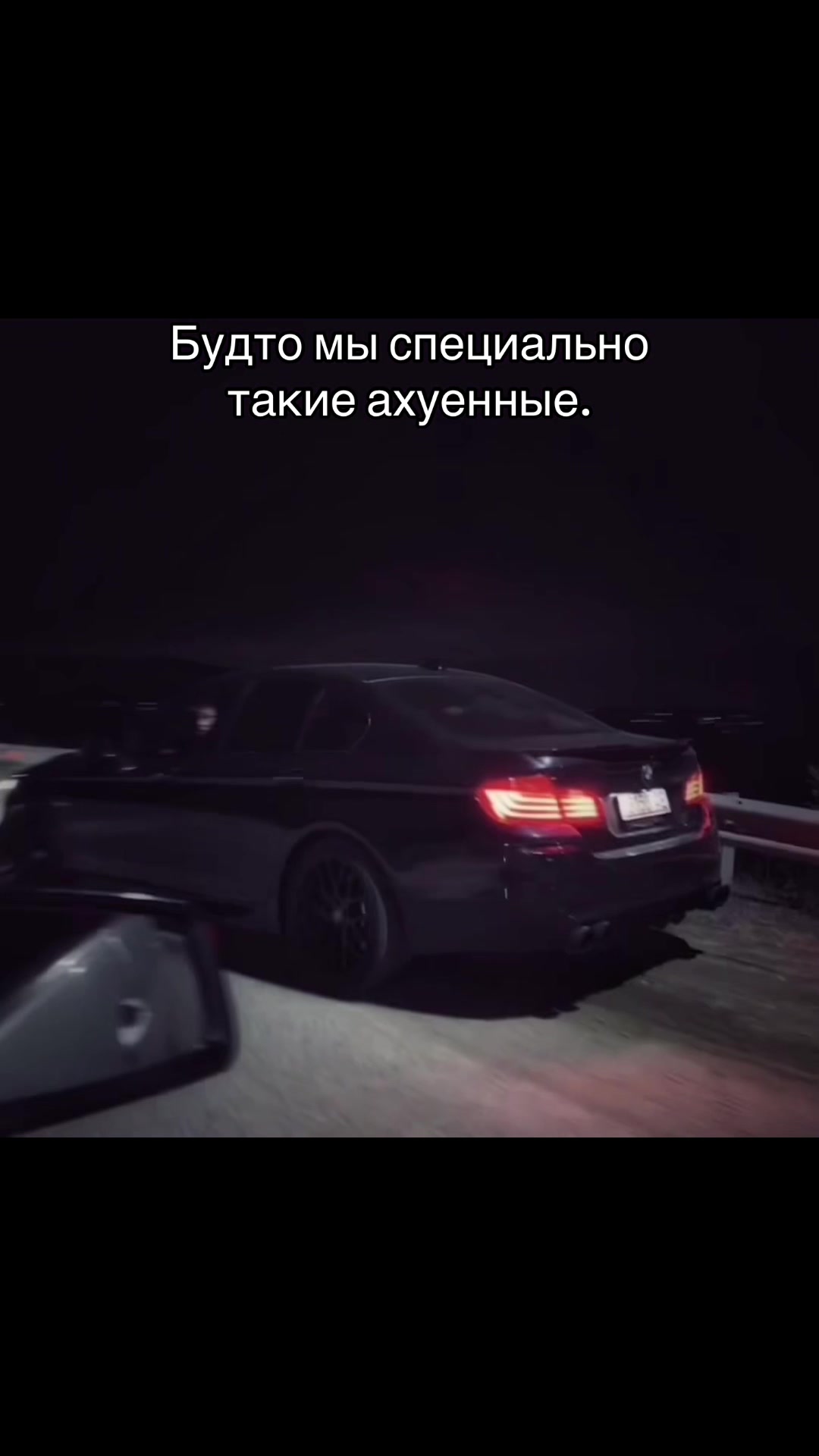@777_koshka_777_