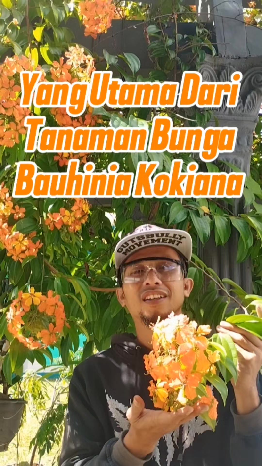 @Bukit Farming