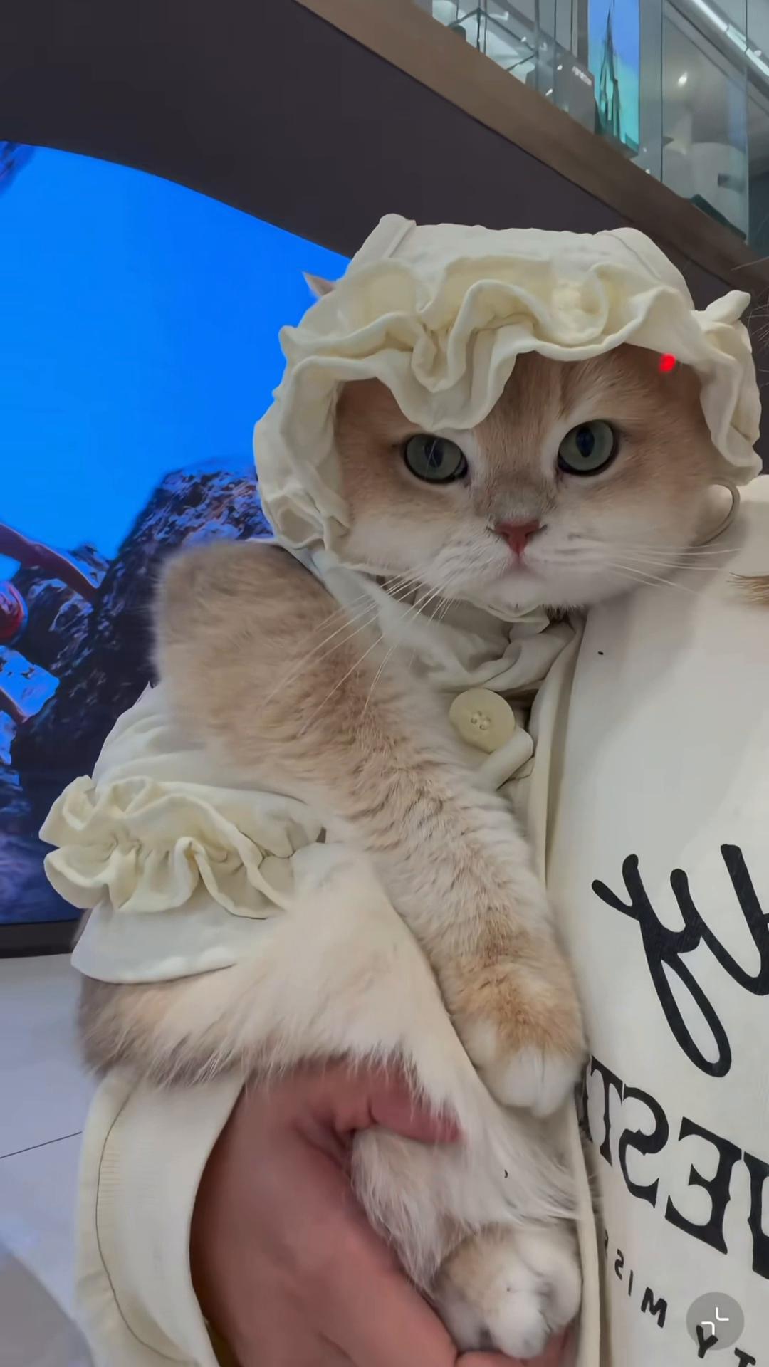 @My Daily Dose of Aww
