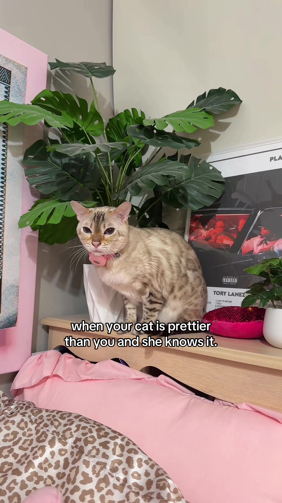 @Mirajane The Bengal🐾