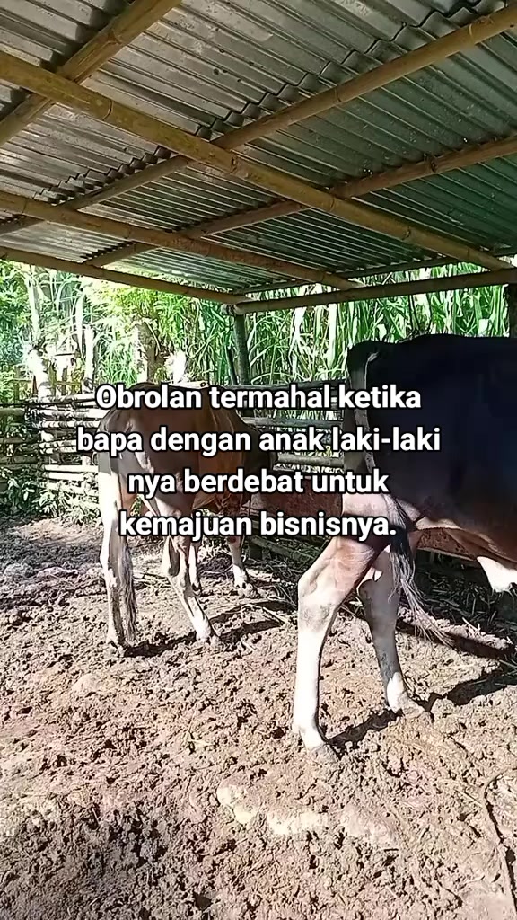 @Fandi lamatenggo