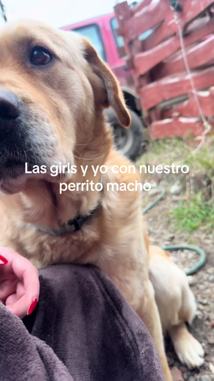 @Jaaavidi🧚♀️