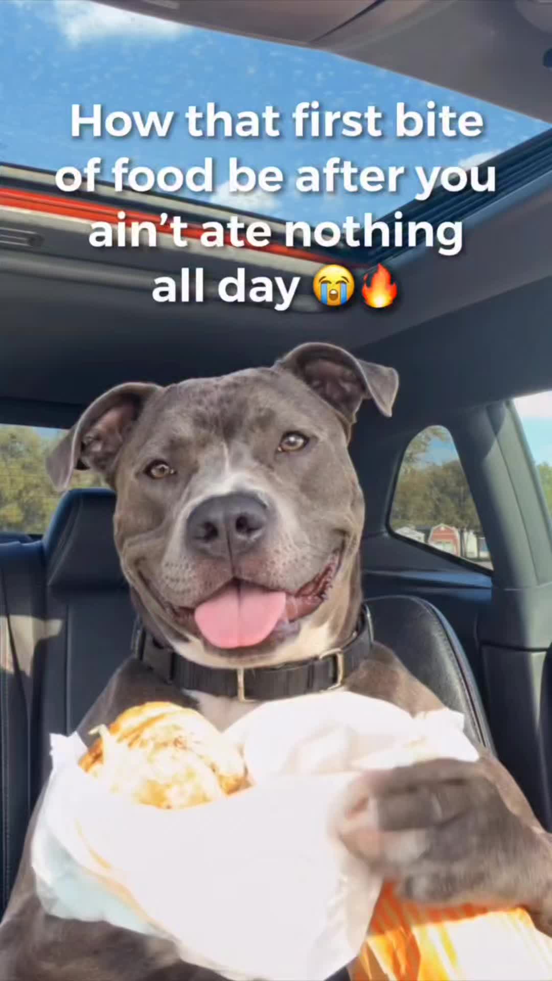 @Crookedcitykennel