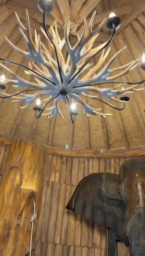 @sophie_Dieumegard