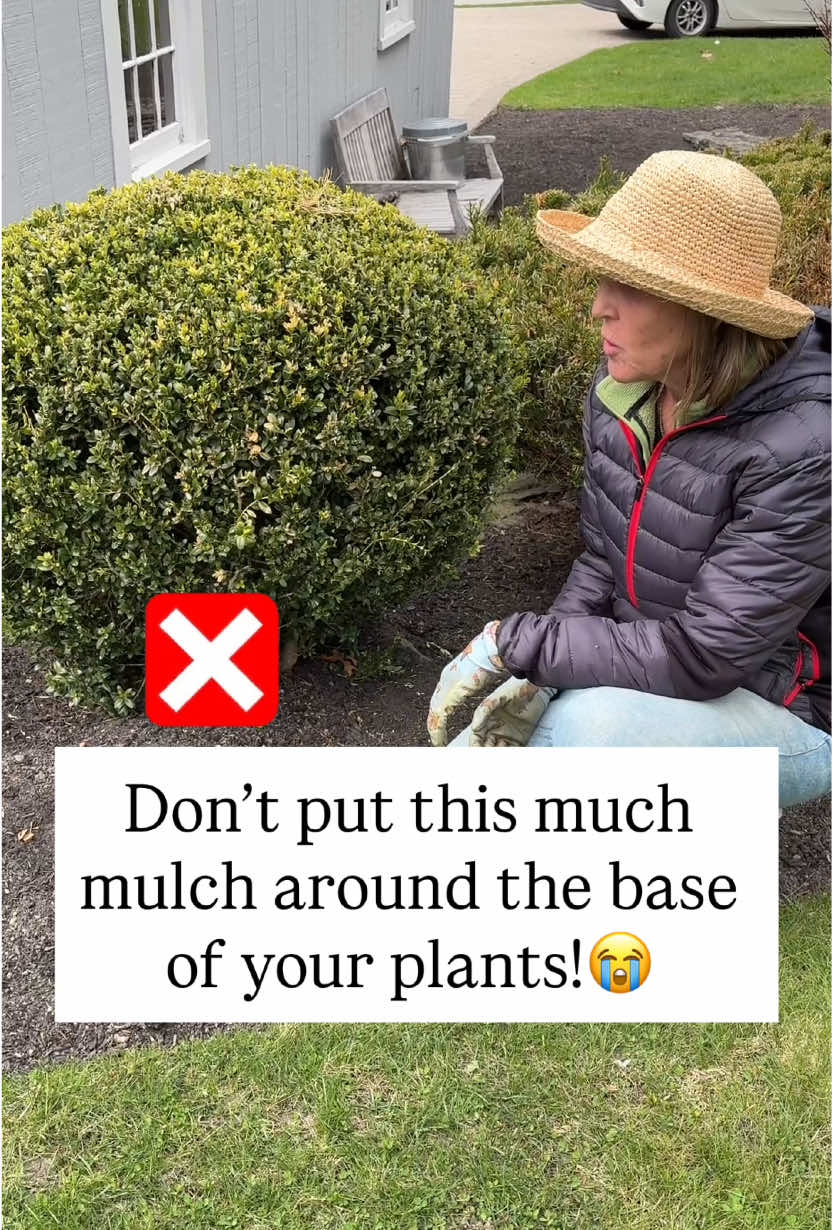 @You Can Do It Gardening