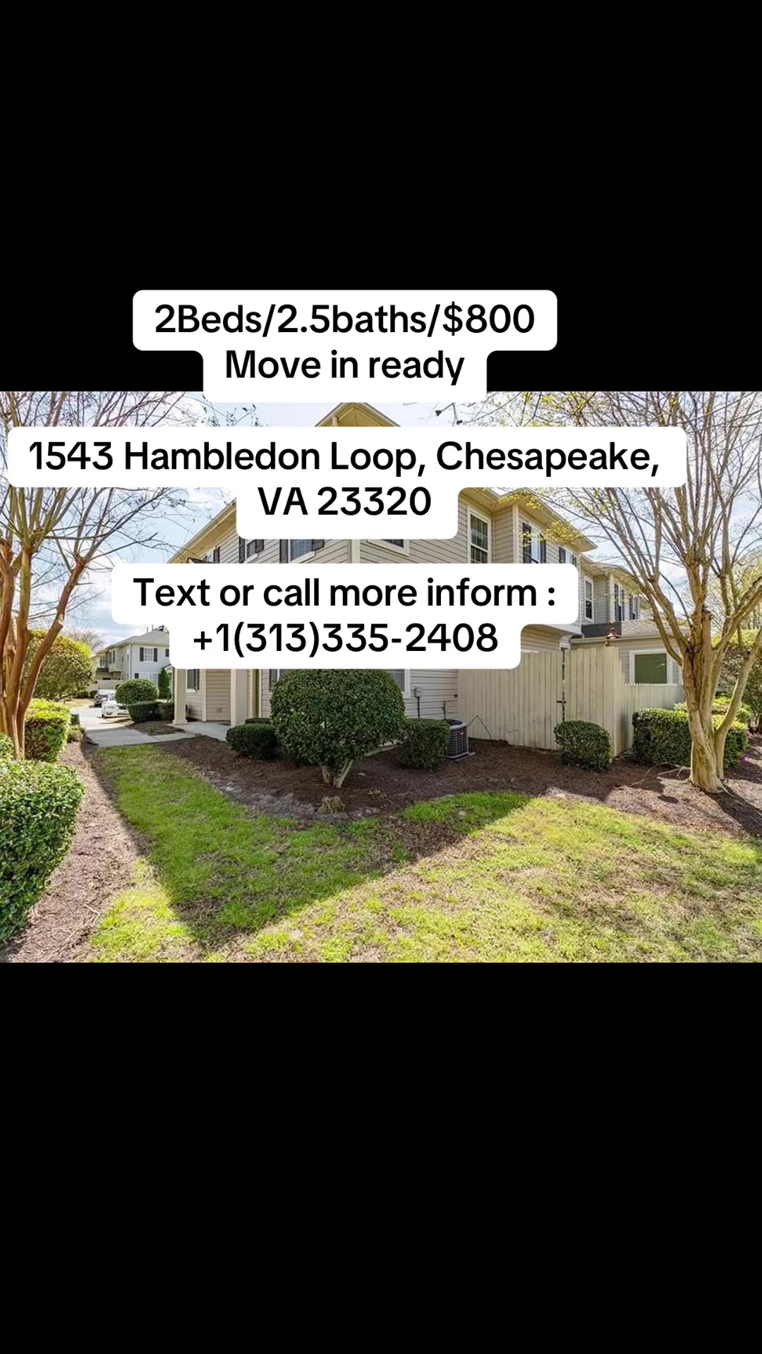 @Property Rental