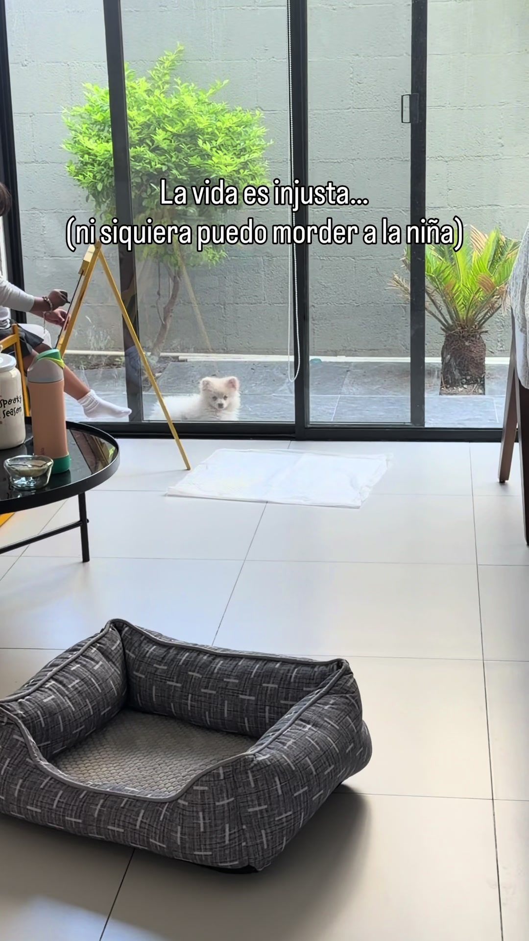 @Sandra Ang&eacute;lica