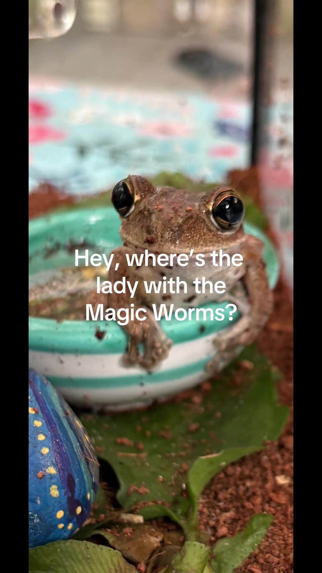 @originalSinkfrog