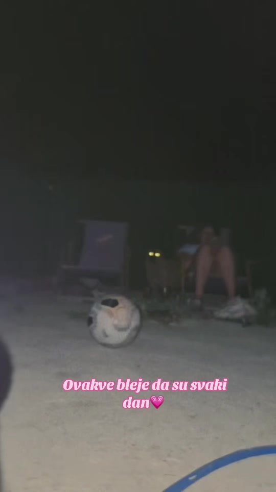 @sonja🐆
