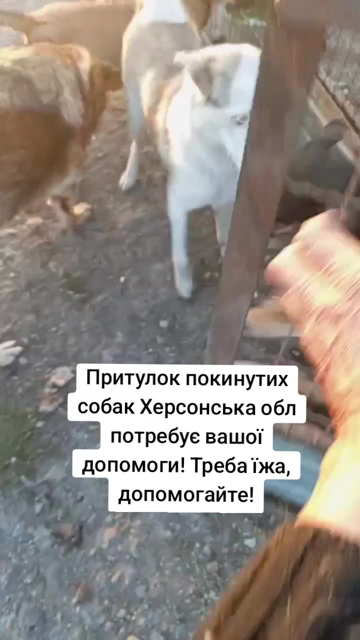 @tvarinkidobra
