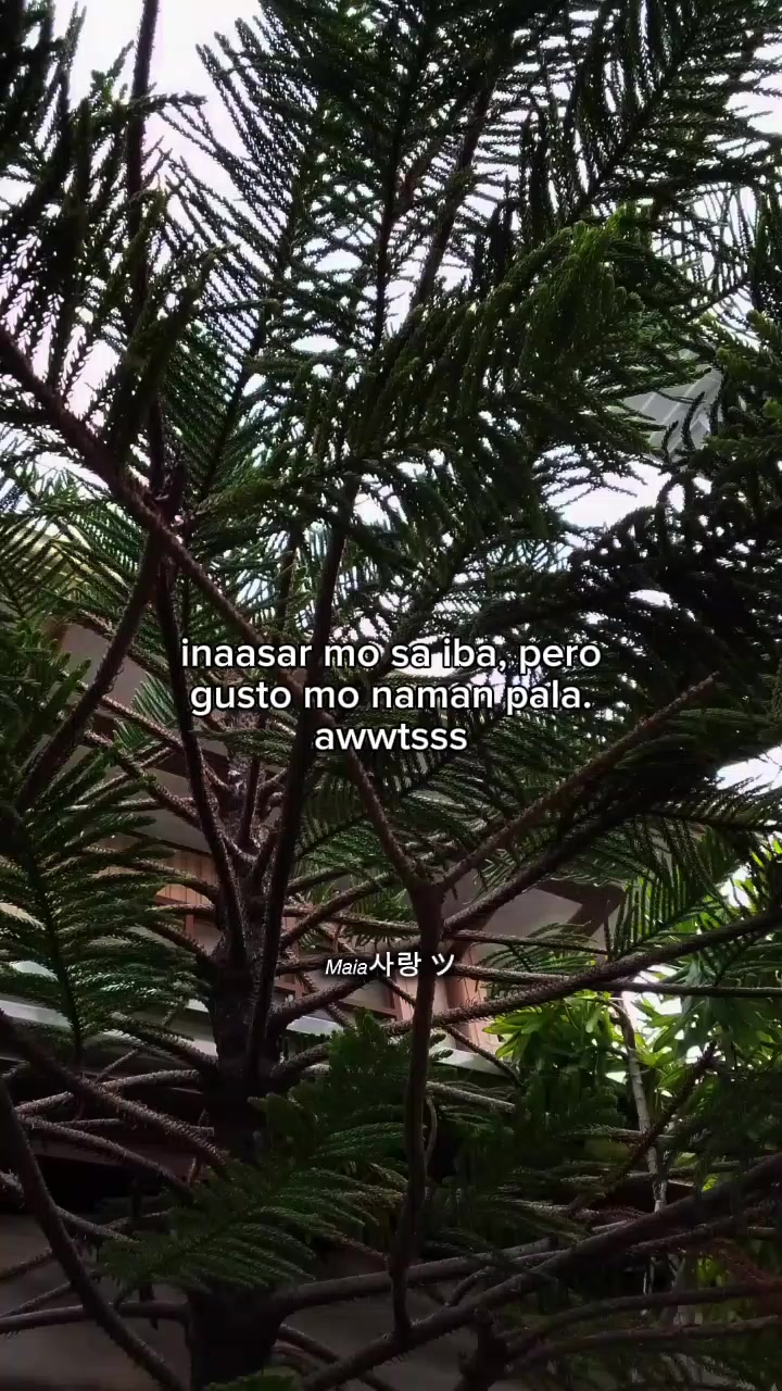 @𝘔𝘢𝘪𝘢사랑 ツ
