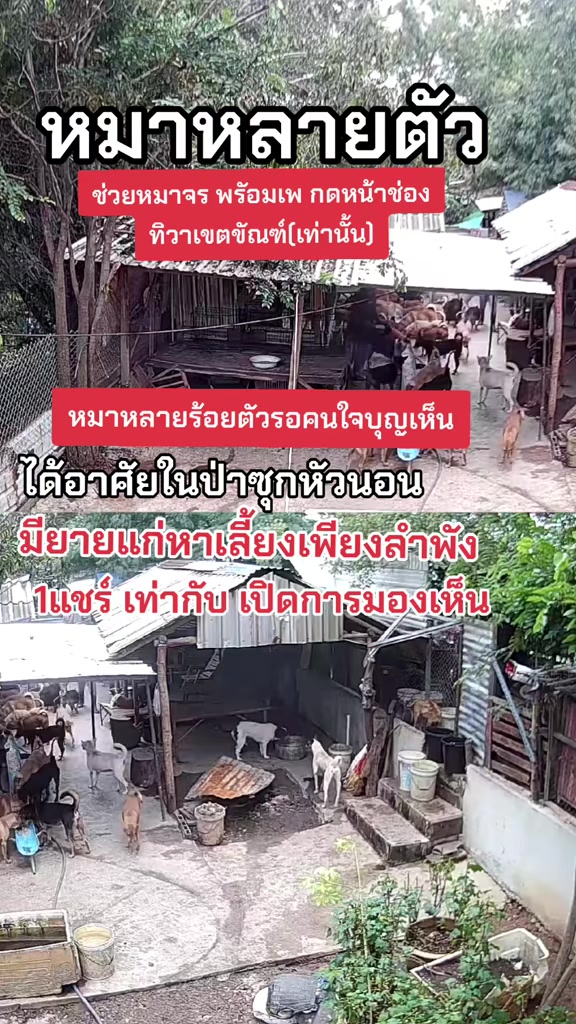 @๐๘๖๑๔o๘๓๙๖ทิวาเขตขัณฑ์