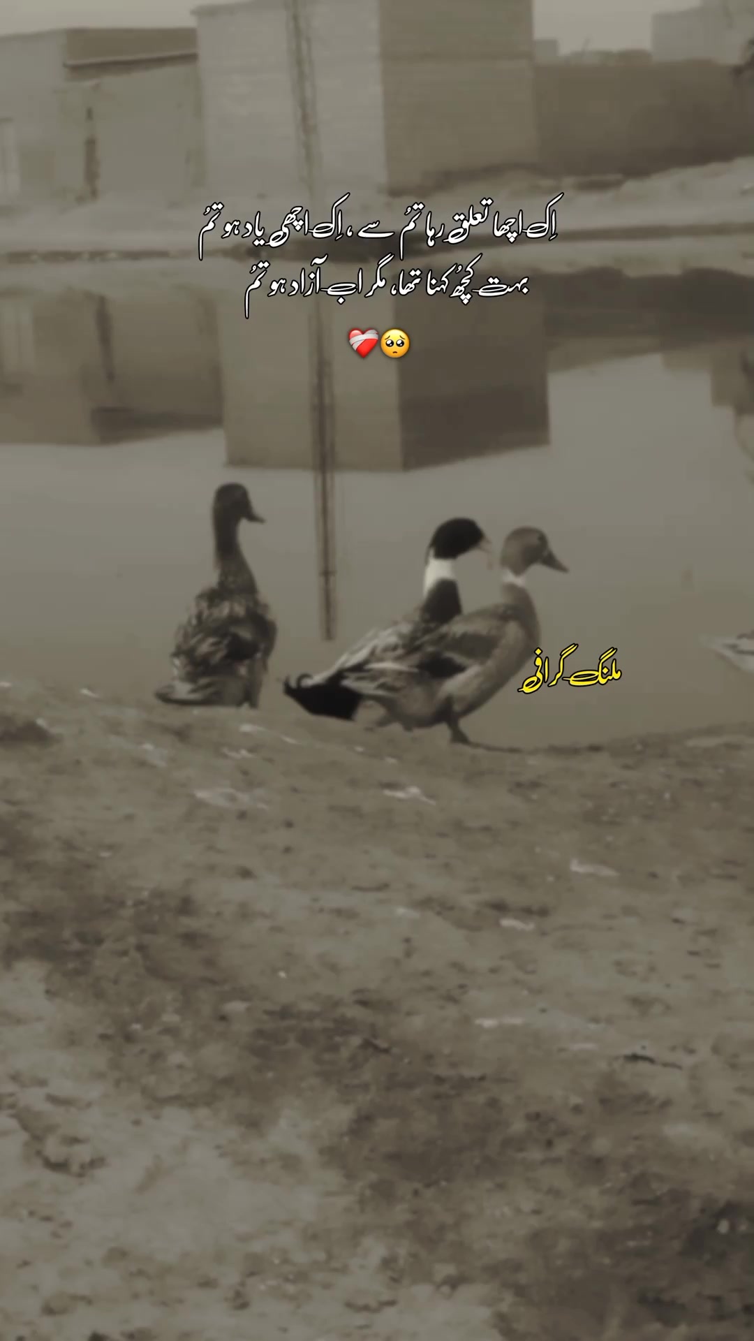 @"M∆L∆NG"G®∆PH¥"