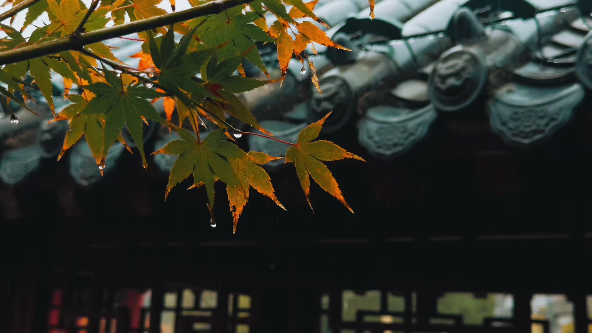 @Zen