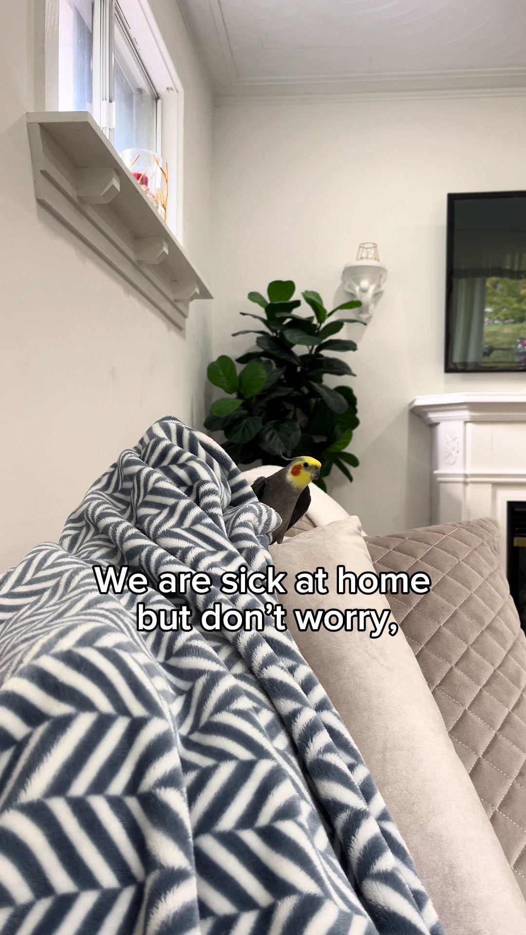 @Emery The Branch Manager