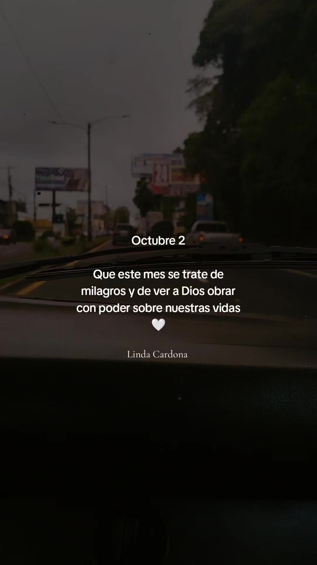 @Linda Cardona 🪼🪐