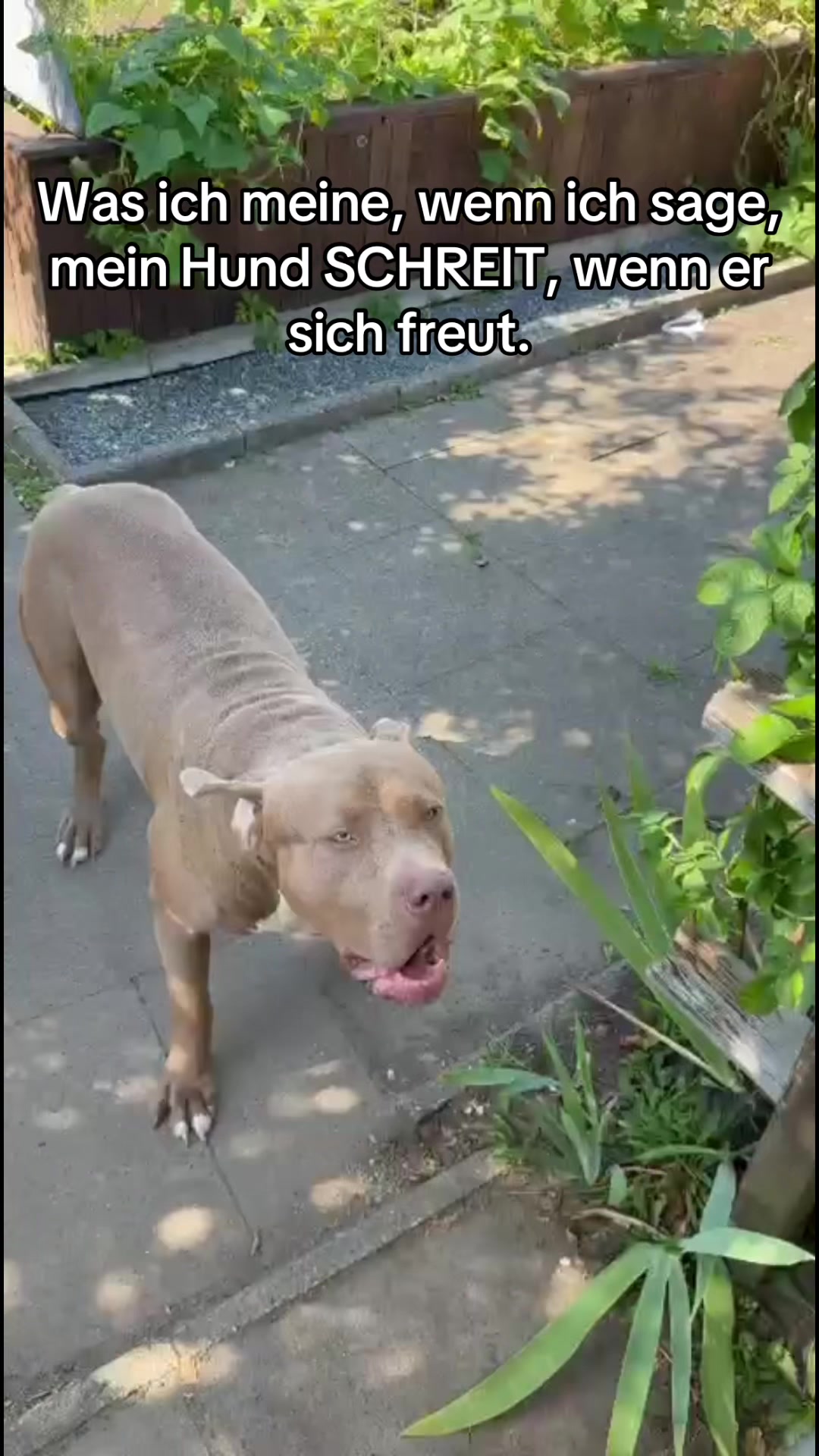 @𝐀𝐋𝐈𝐍𝐀.