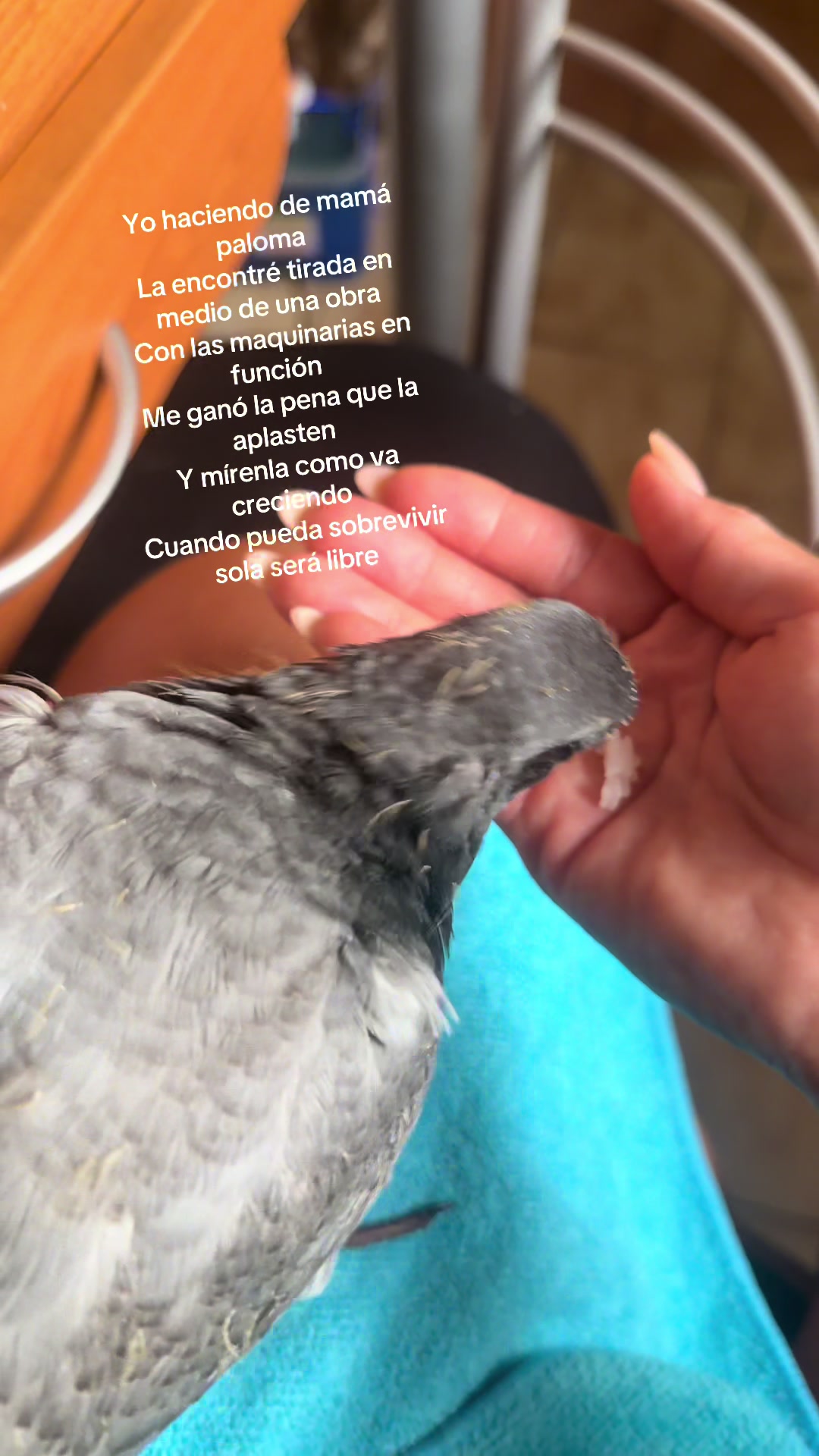 @Tauro_fit_♉️💫🌻☘️🥰💝