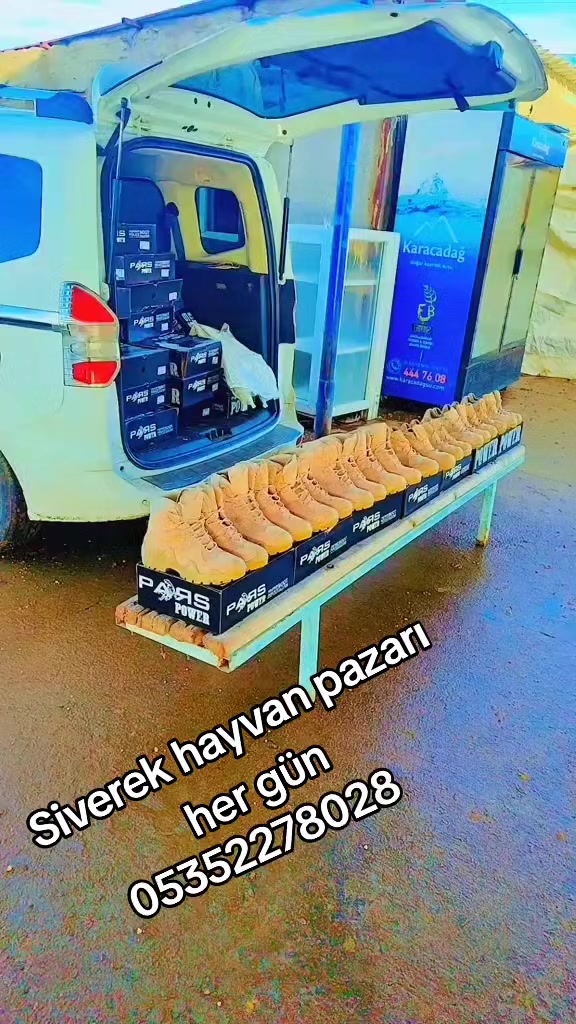@baba yorgun 8282