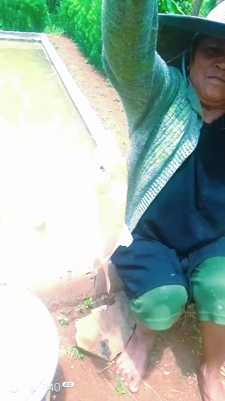 @@Aras