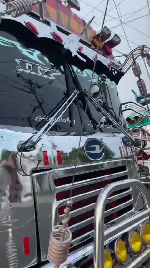 @buses elegantes 503