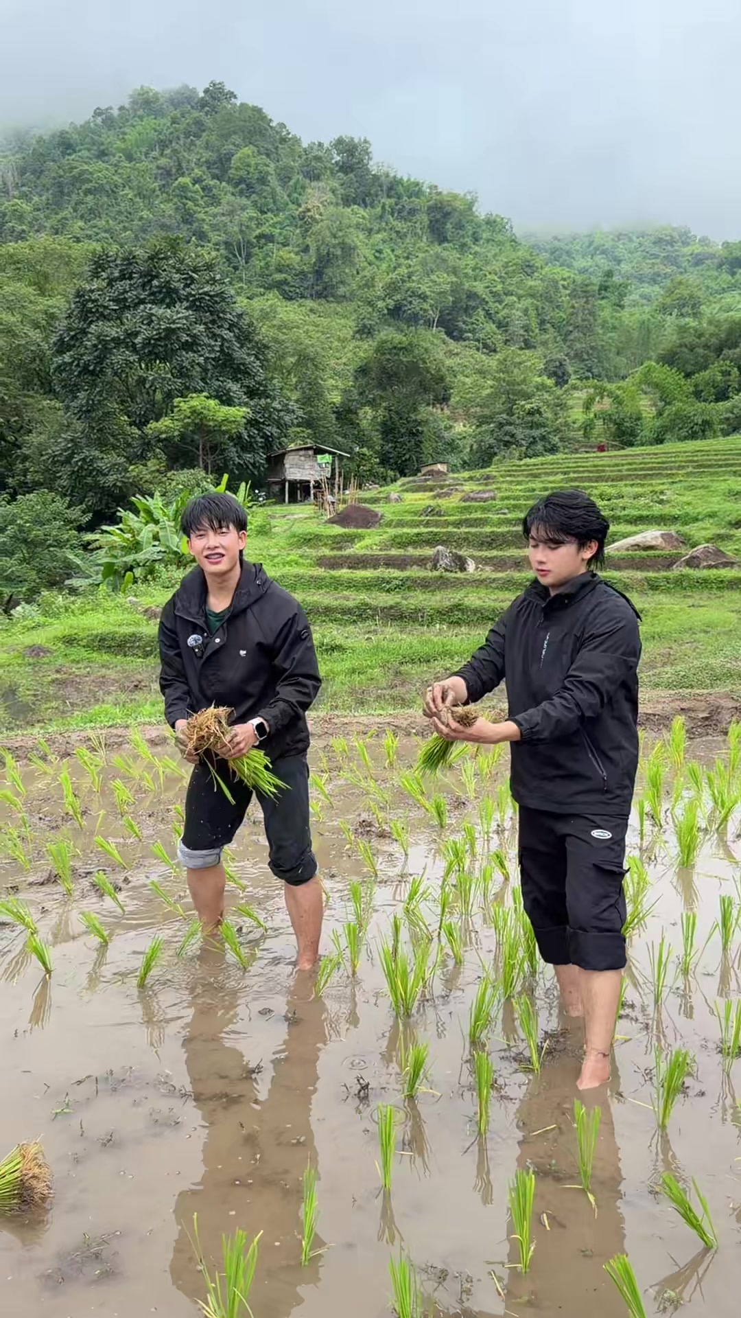 @phumi wannaphumi(ภูมิ)