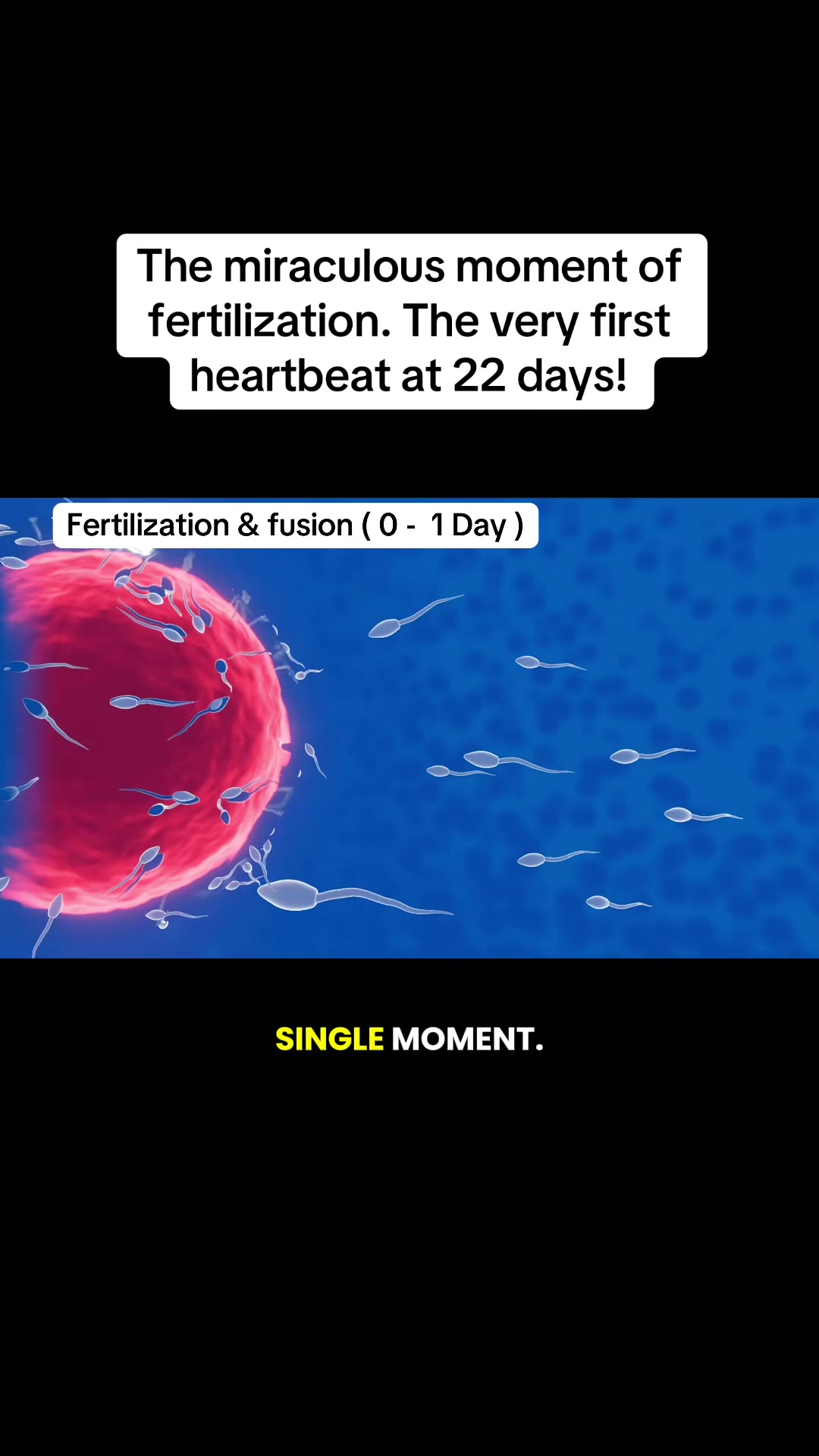 @smartdoctor