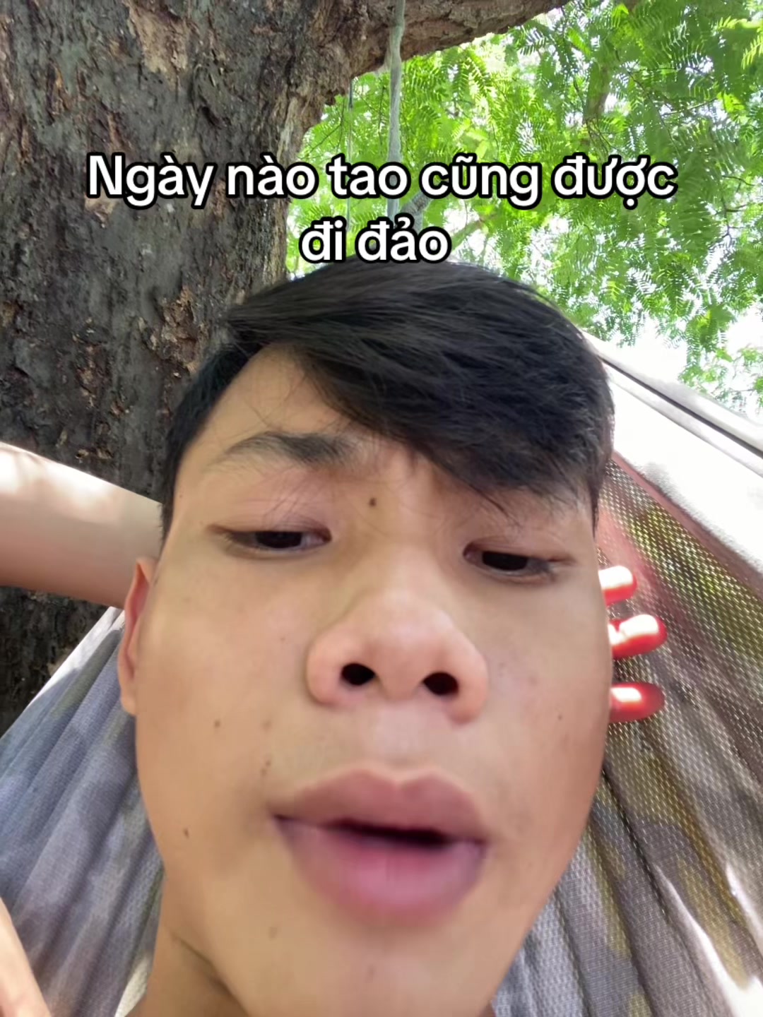@banddz7