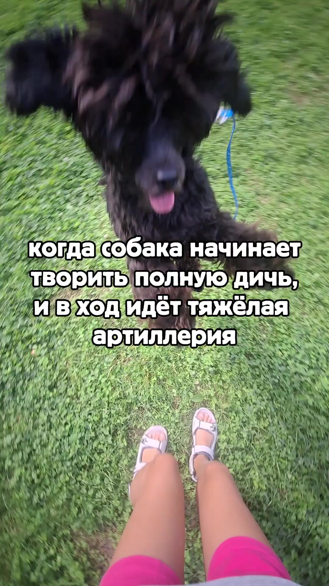 @ⲁⲅⲣⲉⲥⲥ&upsilon;ⲃⲏⲟⲉ ⲱⲁⲃⲗⲟ