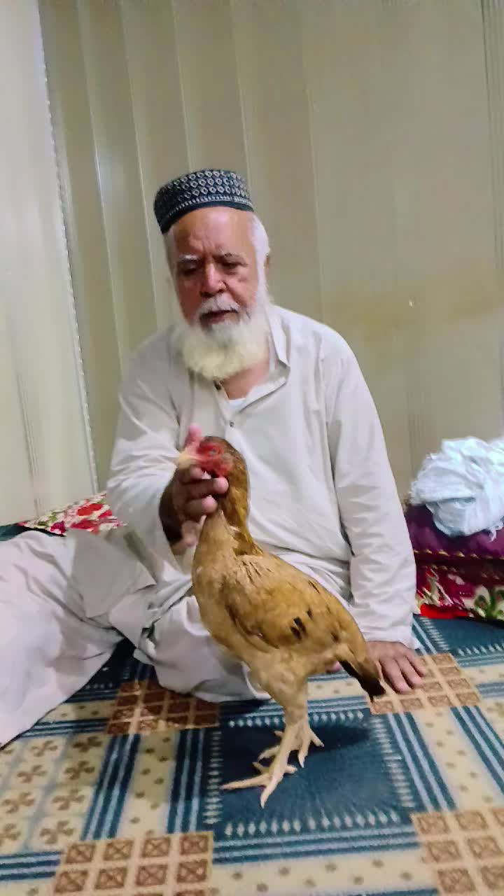 @عمران _خان_ وتہ خیل