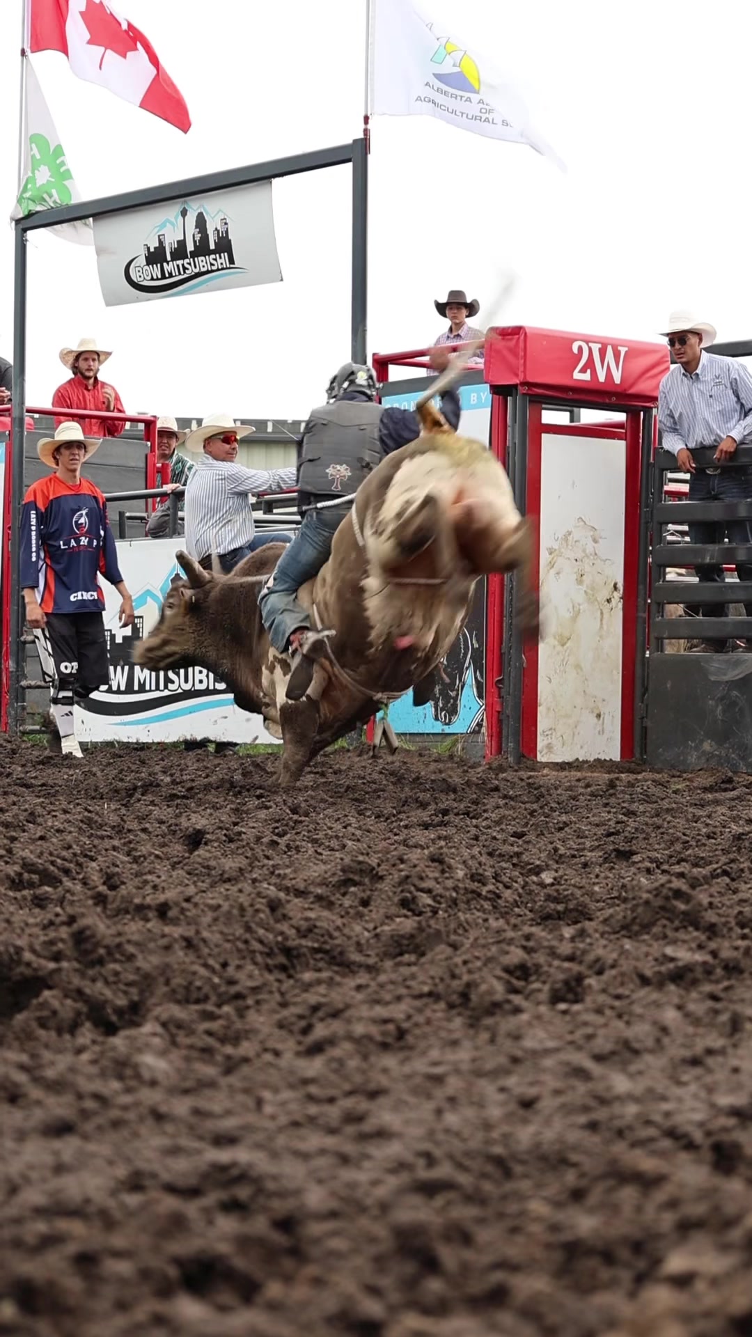 @Lazy P Rodeo