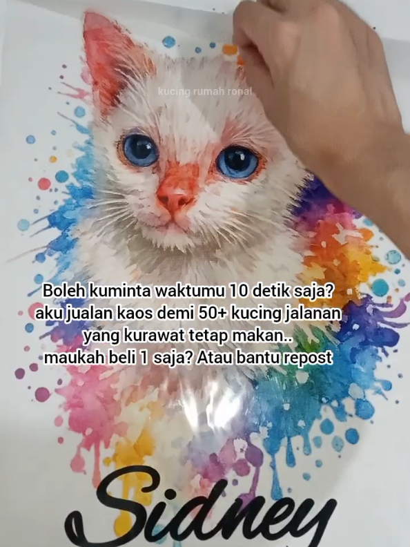 @Kucing Rumah Ronal