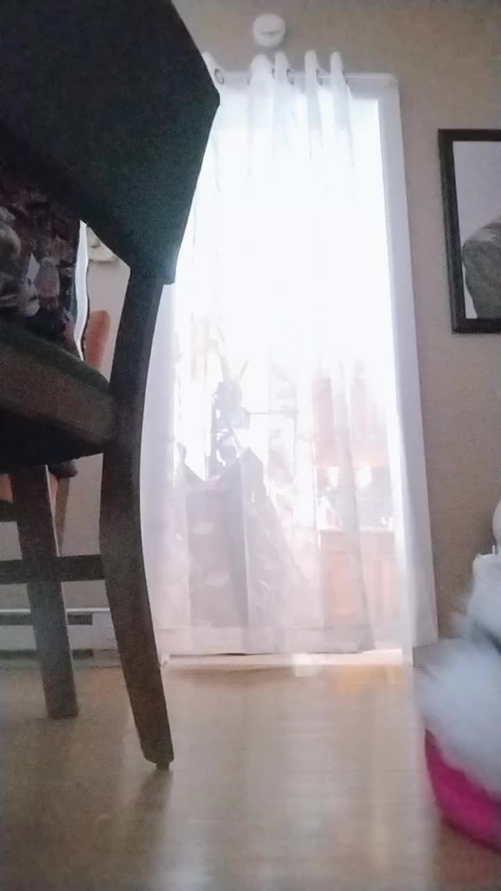@ТГК @Jax_cat
