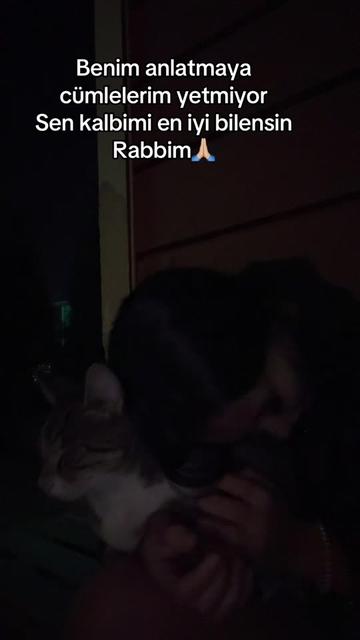 @incitaanesii
