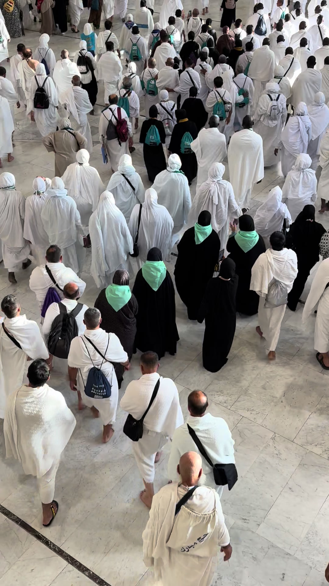 @طيوف الحرم