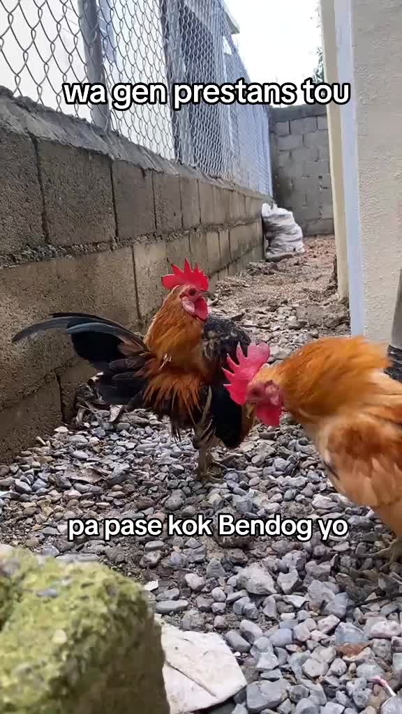 @Bendog